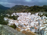 Casares