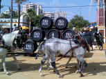 Jerez de la Frontera - Feria